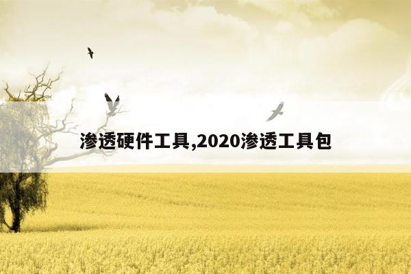 渗透硬件工具,2020渗透工具包