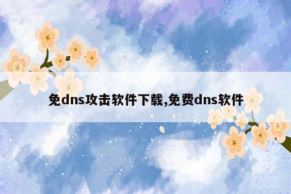 免dns攻击软件下载,免费dns软件