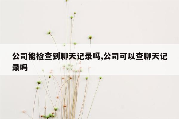 公司能检查到聊天记录吗,公司可以查聊天记录吗