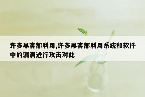 许多黑客都利用,许多黑客都利用系统和软件中的漏洞进行攻击对此