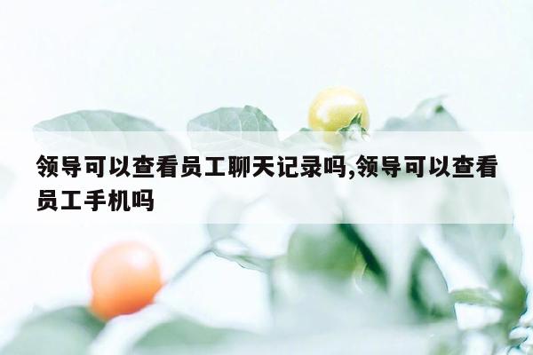 领导可以查看员工聊天记录吗,领导可以查看员工手机吗