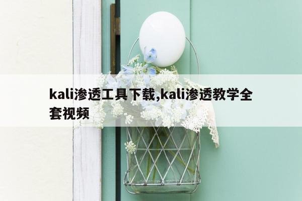 kali渗透工具下载,kali渗透教学全套视频