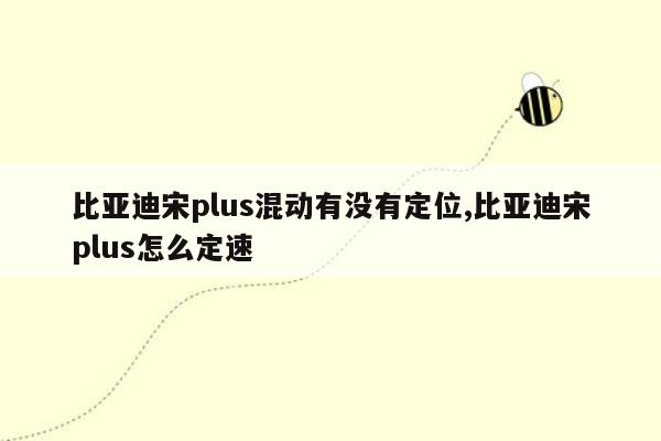 比亚迪宋plus混动有没有定位,比亚迪宋plus怎么定速