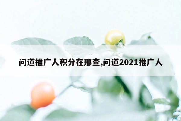 问道推广人积分在那查,问道2021推广人