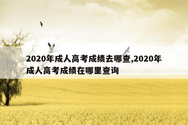 2020年成人高考成绩去哪查,2020年成人高考成绩在哪里查询