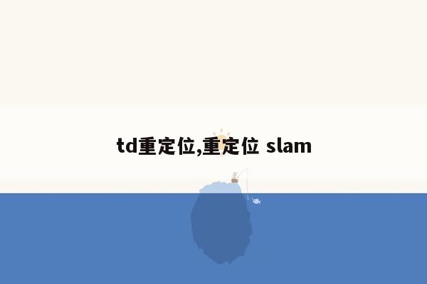 td重定位,重定位 slam