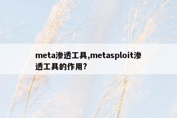 meta渗透工具,metasploit渗透工具的作用?
