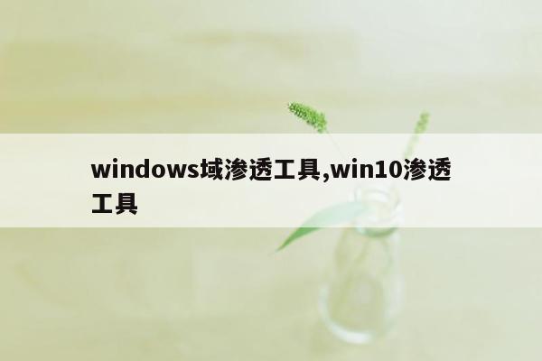windows域渗透工具,win10渗透工具