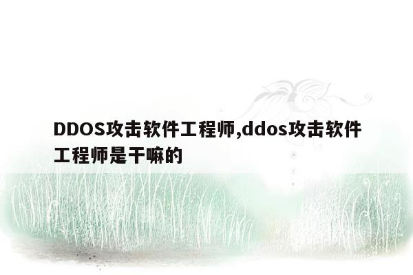 DDOS攻击软件工程师,ddos攻击软件工程师是干嘛的