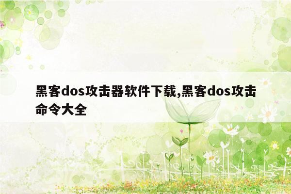 黑客dos攻击器软件下载,黑客dos攻击命令大全