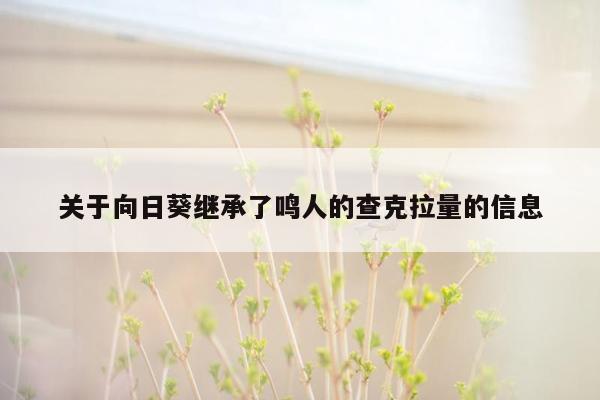 关于向日葵继承了鸣人的查克拉量的信息