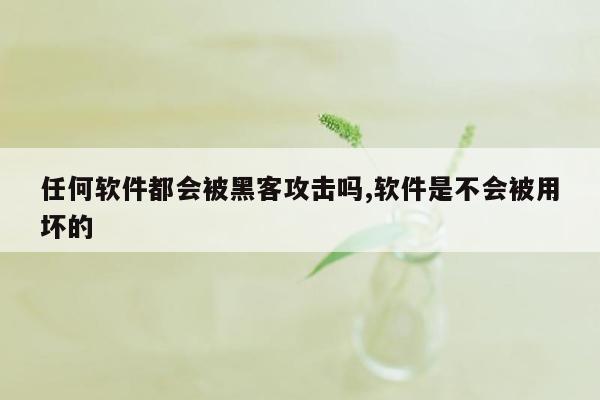 任何软件都会被黑客攻击吗,软件是不会被用坏的