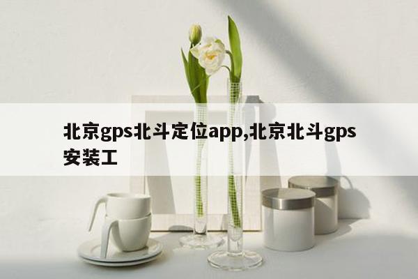 北京gps北斗定位app,北京北斗gps安装工